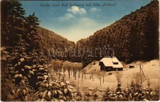 1914 Sulzburg, Straße nach Bad Sulzburg mit Villa Freihof / road in winter, villa. M. Schmidt (EK)