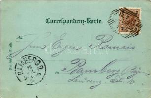 1898 Säusenstein (Ybbs an der Donau); Bahn u. Schiffstation, Joh. Holtz Restauration / railway stati...