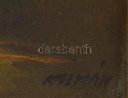 Kalmár jelzéssel: Pecás gyerek. Olaj, fa, kissé sérült fa keretben, 18x13 cm