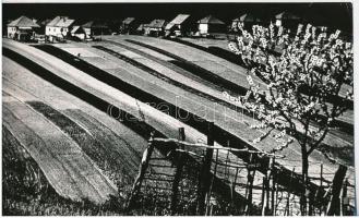 cca 1971 Gebhardt György (1910-1993) budapesti fotóművész hagyatékából, jelzés nélküli, vintage fotóművészeti alkotás (Nadrágszíj parcellák), 14,5x23,8 cm