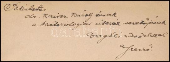 Preysz Kornél: A tengeri fürdők physiologiai hatása, különös tekintettel az északi és keleti tenger ...