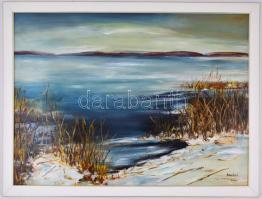 Strommer Elemérné, Somlai Julianna (1940-): Balatongyörök, olvadás a Balatonon. Olaj, farost, fa ker...