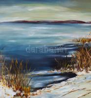 Strommer Elemérné, Somlai Julianna (1940-): Balatongyörök, olvadás a Balatonon. Olaj, farost, fa ker...