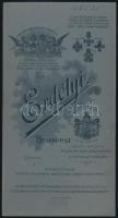 cca 1890 Budapest, Erdélyi Mór (1866-1934) császári és királyi udvari fényképész műtermében készült,...