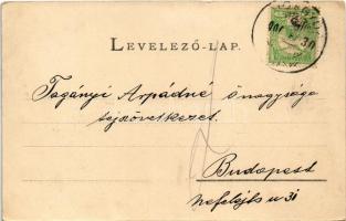 1906 Miskolc, Hámori tó. Ferenczi Károly kiadása (EK)