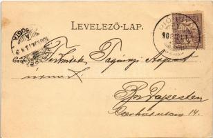 1900 Lillafüred (Miskolc), nyaralótelep, villák. Kiadja Lövy József fia 768. (EK)