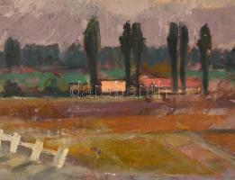 Major J jelzéssel: Táj. Olaj, vászon, jelzett, Kisebb felületi sérülésekkel (festékhiánnyal), 44×56 ...