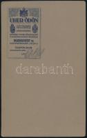 cca 1910 Budapest, Uher Ödön (1862-1931) császári és királyi udvari fényképész műtermében készült ke...