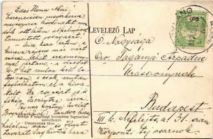 1907 Nagyláng (Soponya), Zichy kastély parkja, híd. Keresztény Fogyasztási Szövetkezet kiadása (fl)