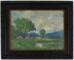 Ács Károly (?-?). Hegyvidéki táj (Tátra?). Olaj, fa, hátoldalán Szlovák Nemzeti Galéria valamint két...