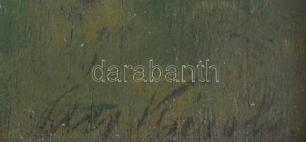 Ács Károly (?-?). Hegyvidéki táj (Tátra?). Olaj, fa, hátoldalán Szlovák Nemzeti Galéria valamint két...