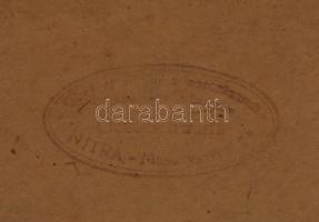 Ács Károly (?-?). Hegyvidéki táj (Tátra?). Olaj, fa, hátoldalán Szlovák Nemzeti Galéria valamint két...