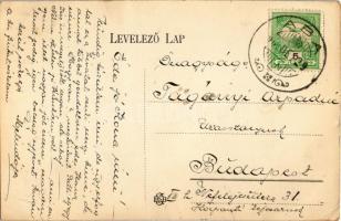 1905 Aba, M. kir. posta épület, Braun József üzlete, Öreg utca, helyiek csoportja, utcakép (fl)