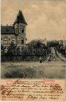 1901 Pozsony, Pressburg, Bratislava; Újtelep / Neustift / villas