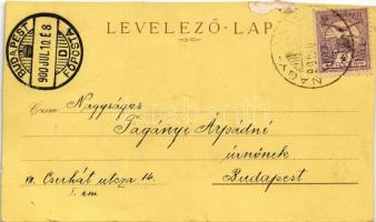 1900 Nagymaros, Nagy-Maros látképe, gőzhajók. Kiadja J. H. M. Art Nouveau, litho (vágott / cut)