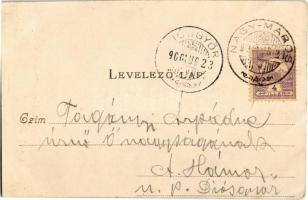 1900 Nagymaros, Római katolikus templom. Divald Károly kiadása 322. sz. (EK)