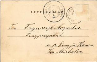 1902 Leányfalu, Tóth villa, Teleky villa, nyaralók. Delikat Ignác kiadása (Rb)