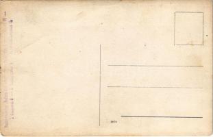 Blériot in Wien / Blériot, French aviator flying over Vienna, crowd. Postkartenverlag "Bediene ...