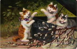 1907 Cats. Serie No. 1509. s: Sperlich