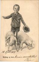 1904 Boldog Újévet! / New Year greeting card, boy with pigs. B.K.W.I. No. 2526/4. (EK)