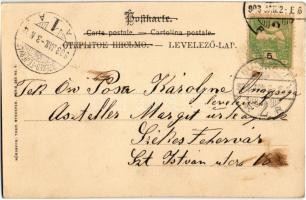 1903 Boldog Újévet! / New Year greeting card, boy pissing with pig. Theo. Stroefer Serie 280. No. 5....