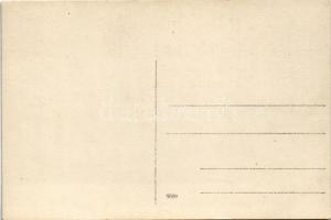 Mészáros Giza. Labori felvétele. photo