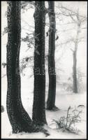 Réti Pál (1918-1989): Téli táj, hátoldalon feliratozott fotó, 23,5×15 cm
