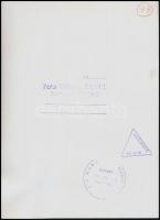 1958 Klell Kálmán (1897-1980): Csonka fák, fotóművészeti alkotás, pecséttel jelzett, 24×17 cm