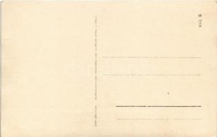 Hindenburg-Salut! / German Navy, battleships firing. photo