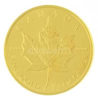 Kanada 1992. 20$ Au "II. Erzsébet" perforált fóliatokban (15,55g/0.999) T:1
Canada 1992. ...