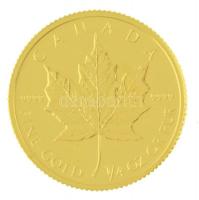 Kanada 1992. 10$ Au "II. Erzsébet" perforált fóliatokban (7,78g/0.999) T:1
Canada 1992. 1...