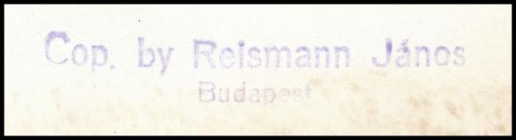 Reismann János (1905-1976): Szőlőhegy, pecséttel jelzett fotó, szélein szakadásokkal, 30×26 cm