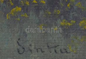 Sinka jelzéssel: Virágod udvar. Olaj, vászon, jelzett, díszes fa keretben, 39×50 cm