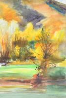 Vincze László (1934-2020): Visegrád. Akvarell, papír, jelzett és datált (Vincze László 2008), üvegez...