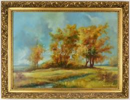 Kránitz Margit (1928-2000): Őszi táj. Olaj, farost, jelzett, díszes fa keretben, 50x70 cm