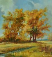 Kránitz Margit (1928-2000): Őszi táj. Olaj, farost, jelzett, díszes fa keretben, 50x70 cm