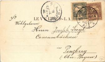 1900 Bettelnder Zigeuner. Siebenbürgische Volkstypen-Karte No. 10. / Erdélyi koldus cigány / Transyl...