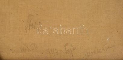 Jelzés nélkül: Haranghy László (1897-1975) orvos, patológus, gerontológus, egyetemi tanár, az MTA le...