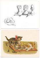 10 db MODERN motívum képeslap: sakk állatokkal / 10 modern motive postcards: chess with animals