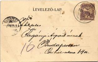 1900 Alsóhámor, Alsó-Hámor (Miskolc); utcakép. Ferenczi B. kiadása  2056. (EB)