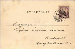 1901 Alsóturcsek, Dolny Turcek, Unter-Turz (Turcsek);  alsó rész látképe. Herz Mór kiadása / unterer...