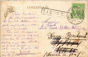 1909 Tátra, Magas Tátra, Vysoké Tatry; Csorba-tó, szálloda. Feitzinger Ede No. 1024. / Strbské pleso...