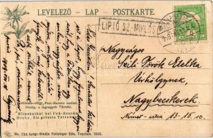 1909 Tátra, Magas Tátra, Vysoké Tatry; Hlinska-völgy Podbanszkó (Bányaalja) mellett. Hruby a legnagy...