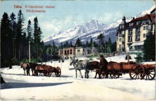 1909 Tátrafüred, Ótátrafüred, Altschmecks, Stary Smokovec (Tátra, Magas Tátra, Vysoké Tatry); Nagyszálló télen. Cattarino S. utóda Földes Samu kiadása 238. sz. / Grand-Hotel / hotel in winter, horse-drawn carriages (EK)