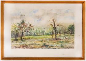 Mednyánszky jelzéssel: Táj. Akvarell, papír, kartonra kasírozva, üvegezett, kissé sérült fa keretben...