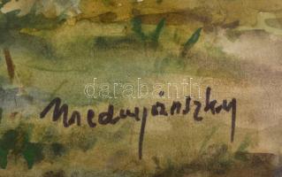 Mednyánszky jelzéssel: Táj. Akvarell, papír, kartonra kasírozva, üvegezett, kissé sérült fa keretben...