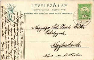 1909 Tátra, Magas Tátra, Vysoké Tatry; Zöld-tó, Karbunkulus-torony és Frigyes menház. Feitzinger Ede...