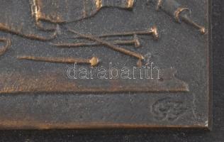 Szabó György (1947-) Melankólia (Dürer után). Bronz, fa keretben. Jelzett. 18x20 cm