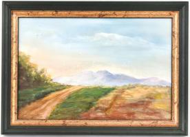 Csonka Mária (?-): Hegyvidéki táj. Olaj, karton, hátoldalán jelzett és ajándékozási sorokkal, fa ker...