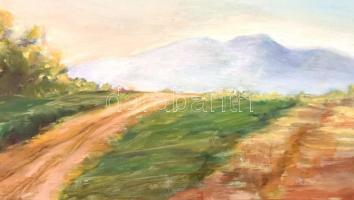 Csonka Mária (?-): Hegyvidéki táj. Olaj, karton, hátoldalán jelzett és ajándékozási sorokkal, fa ker...